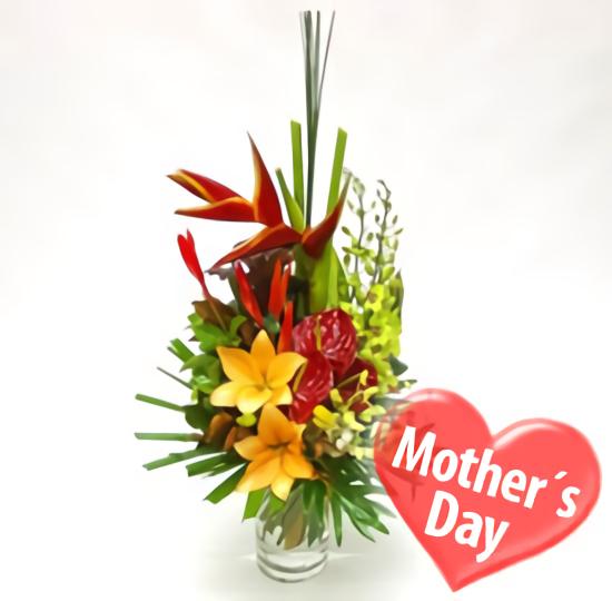 <font color= #FF0000><b>Mexico Mom Gift Center</b></font>, Mexico, Tlalpan-Df