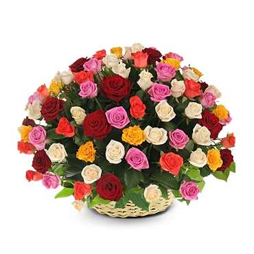 50 RosesSPECIAL OFFER!