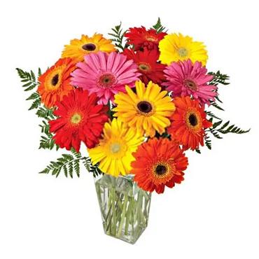 Florerias en Tijuana-Baja California. Envio de Flores en Tijuana-Baja  California - GerberasSUPER OFERTA!